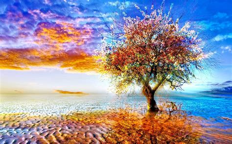 LONELY TREE [01] colorful [27september2012thursday] [VersionOne ...