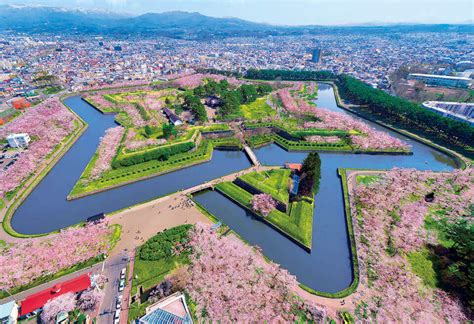 春の北海道の絶景！おすすめの観光スポットは？人気の花畑は？ | あそびば北海道