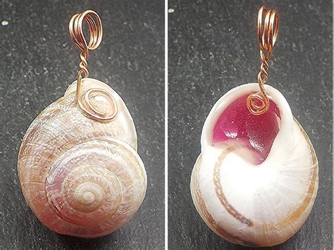 Necklace Pendant. A natural land snail shell pendant. Jewelry, Gift. - Necklaces & Pendants