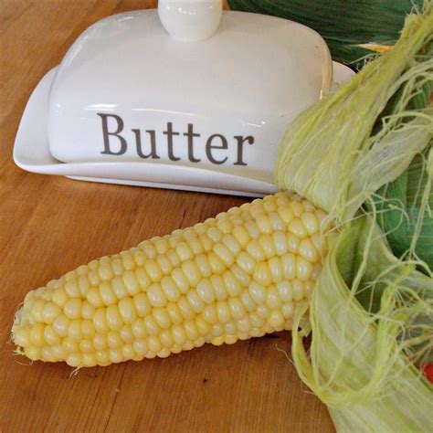 Microwave Corn on the Cob in the Husk Recipe