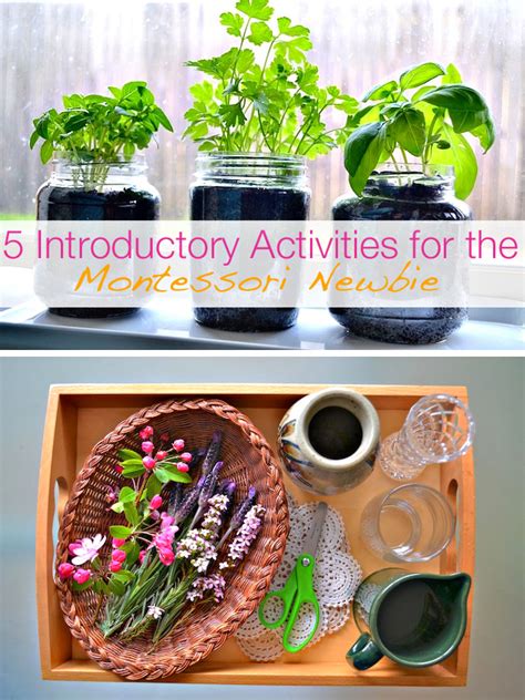 Make Like a Montessori Mama: Part 2 - Plant Activities - Modern Parents ...