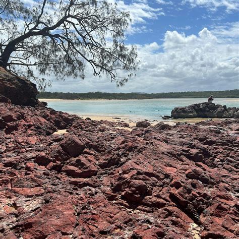 Must see: Red Rock Beach, NSW - Camps Australia Wide