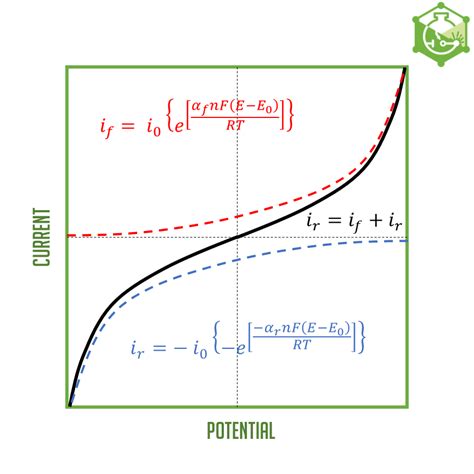 Understanding the Butler-Volmer Equation - Macias Sensors