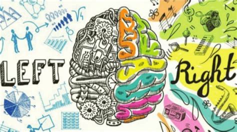 Are you left-brained or right-brained? - The Statesman