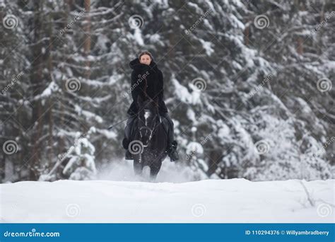 Black Horse Running in Snow on Winter Background Stock Photo - Image of ...