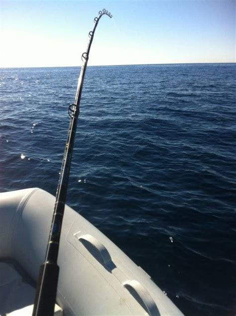 Offshore - Marlin Fishing 11/8 | Bloodydecks