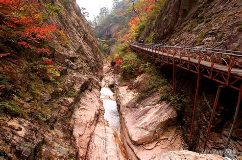 "Autumn Gorge - Seoraksan National Park, South Korea" by Alex ...