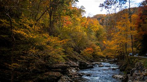 Fall colors: Photographers explore East Tennessee's autumn landscape