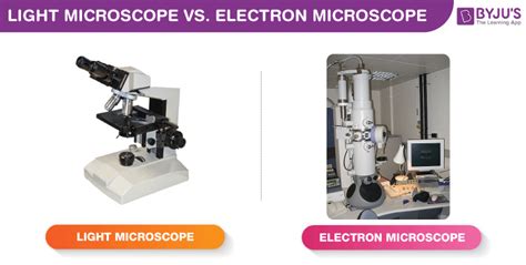 Compound Light Microscope Optics Magnification And Uses | Shelly Lighting