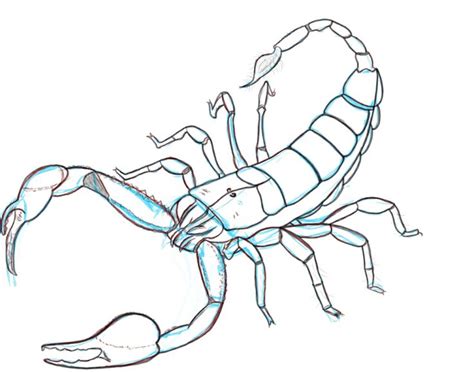 A quick line drawing of a scorpion. (Yes, I like scorpions ...