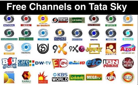 How to Watch Free Channels on Tata Sky True or False