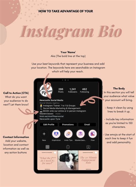 Instagram Bio Template Generator