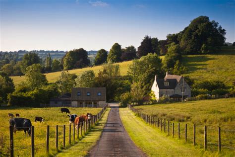 Farmland With Farmhouse And Grazing Cows In The Uk Stock Photo - Download Image Now - iStock