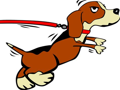 Dog Puppy Leashed - Free vector graphic on Pixabay