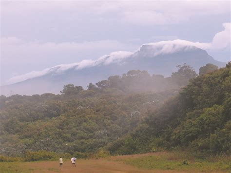 Mount Ayanganna – Guyana Times International – The Beacon of Truth