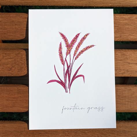 Purple Fountain Grass Art Print — Ashley Laren