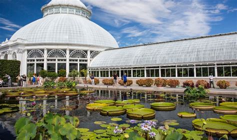 The Stunning New York Botanical Garden Has Finally Reopened