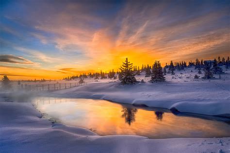 Fonds d'ecran Norvège Hiver Ciel Neige Picea Nature télécharger photo