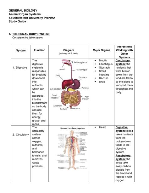 Human Organs and Organ Systems ( functions, major organs, and ...