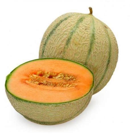 Muskmelon ( Kharbooj) Hybrid Seeds (50 seeds) – plant-orbit