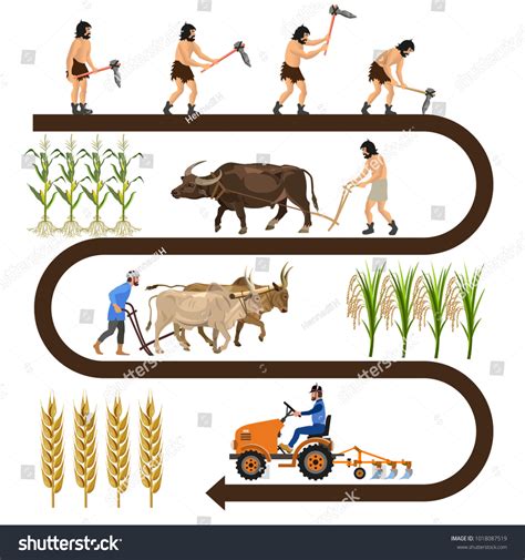 Neolithic Agricultural Revolution