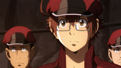 Cells at Work! CODE BLACK｜Episode 10｜Anime