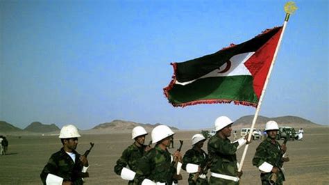 Flag of Western Sahara | Country Flag Wallpaper