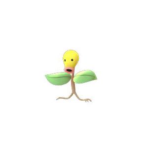 Pokemon Bellsprout Evolution Chart