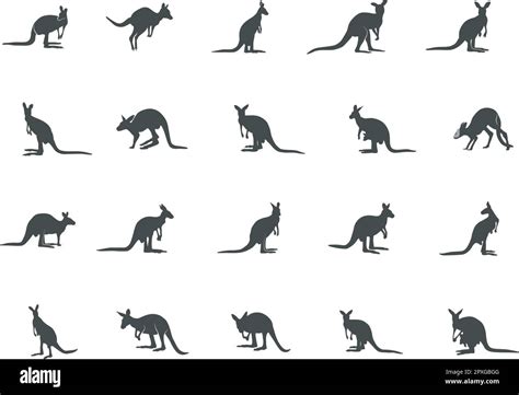 Kangaroo silhouettes, Kangaroo vector, Kangaroo silhouette vector ...