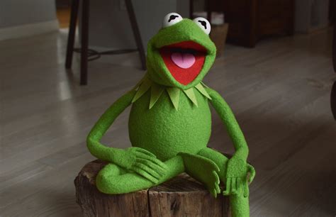 ecl's Kermit the Frog Puppet Replica (using my newest patterns) | RPF Costume and Prop Maker ...