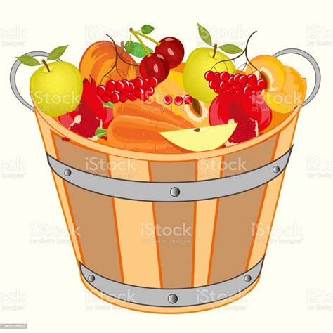 Bucket With Fruit And Berry Stock Illustration - Download Image Now ...