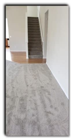 Cut Pile Carpet – Coventry Flooring