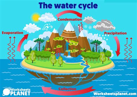 The Water Cycle | Stages and Craft | Science Resources