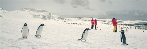 Antarctica Cruise | Expedition Cruise Specialists