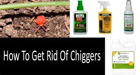 Treat Chiggers In Yard | Bindu Bhatia Astrology