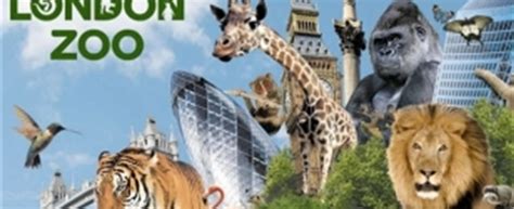 2 x Adult & 2 x Child Tickets ZSL London Zoo in HA8 Barnet for £75.00 ...