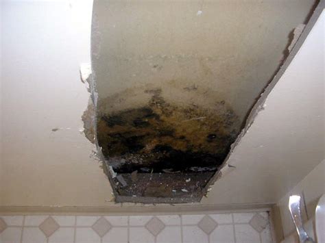 Mold in Walls is Extremely Common | Mold Awareness