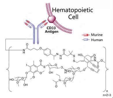 The History Of ADC Drugs Development - Biopharmaceuticals Member ...