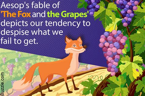 A Summary and Meaning of Aesop's Fable 'The Fox and the Grapes' - Penlighten