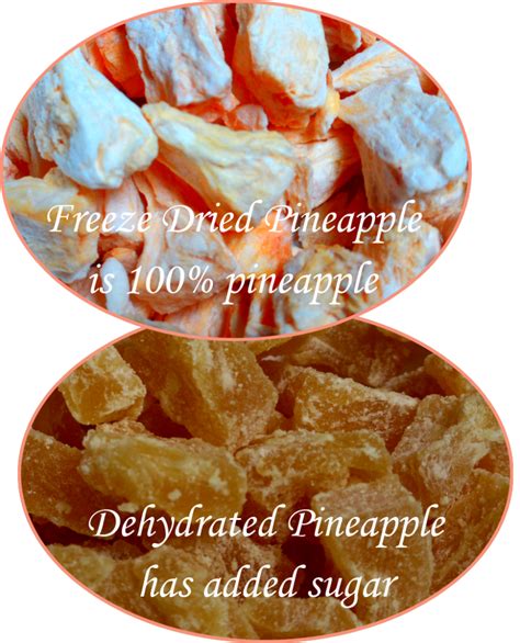 Freeze-Dried vs Dehydrated foods | Simple Family Preparedness