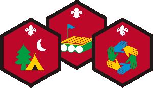 6th Exeter (St Thomas) Scout Group » Badges Available