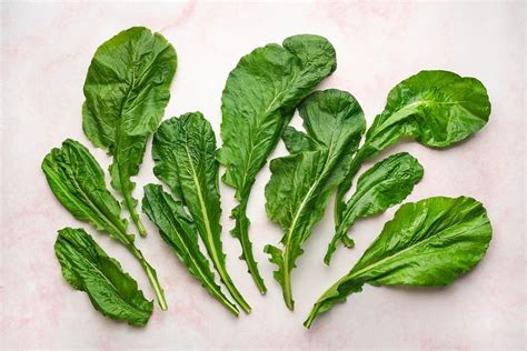 What Are Turnip Greens?