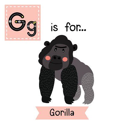 Letter G Tracing. Gorilla. Stock Clipart | Royalty-Free | FreeImages