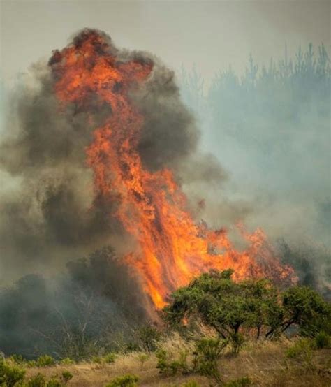 Chile farmers fight wildfire ‘catastrophe’ – Digital Journal