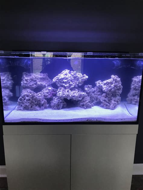 Let’s see the new setups | REEF2REEF Saltwater and Reef Aquarium Forum