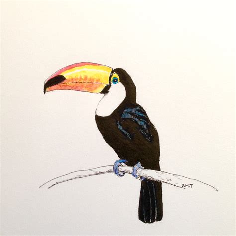 Toucan – Dan Tabata