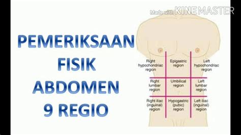 Pemeriksaan Abdomen 9 Regio - YouTube