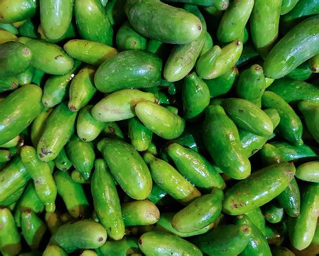 Kundru Kudri Pile In Vegetable Market For Sale Stock Photo - Download Image Now - Gourd, Ivy ...