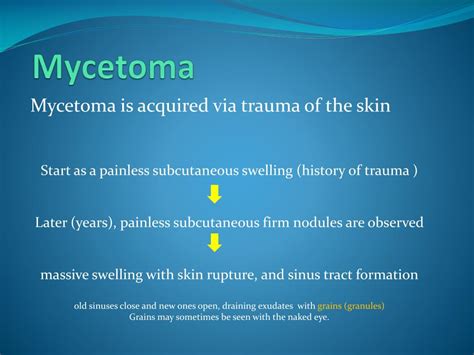 PPT - Mycetoma and other Subcutaneous Mycoses PowerPoint Presentation, free download - ID:2014418