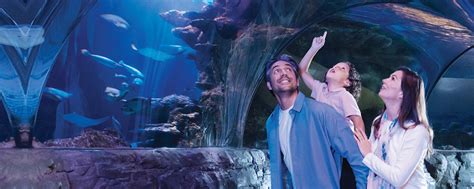 SEA LIFE Michigan Aquarium | Great Lakes Crossing Outlets